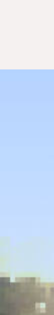 bug.png bug.png