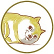 ZhangKaiXin